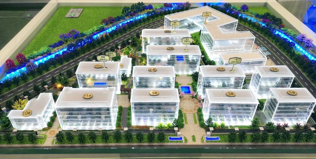 1554173566371302.jpg 4.jpg