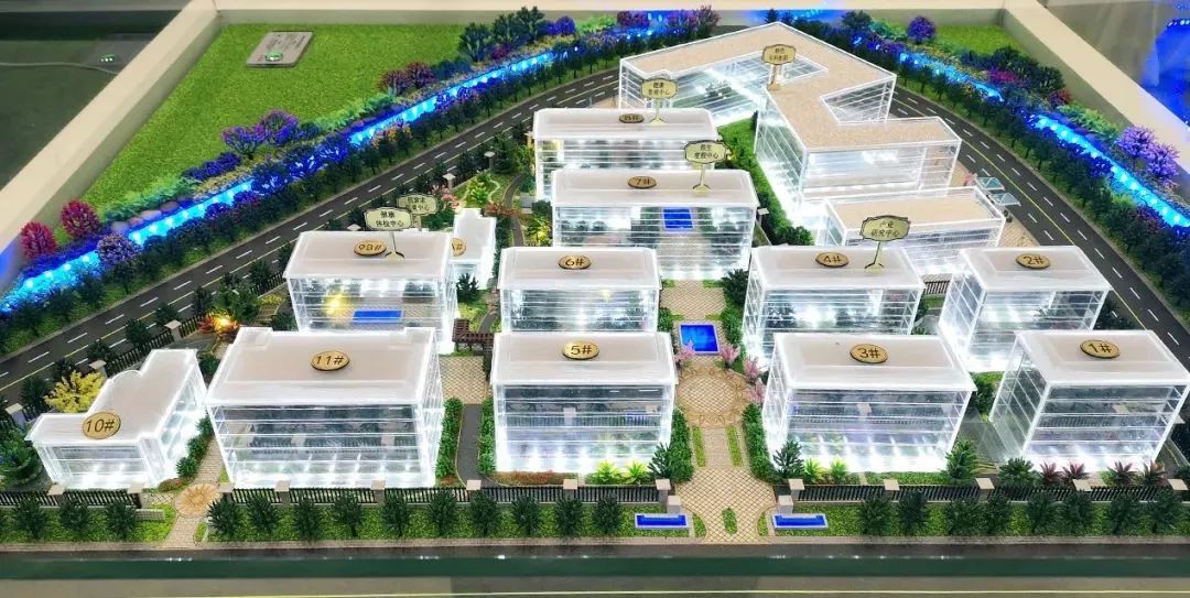 1562738607603448.jpg 1561013460278971.jpg